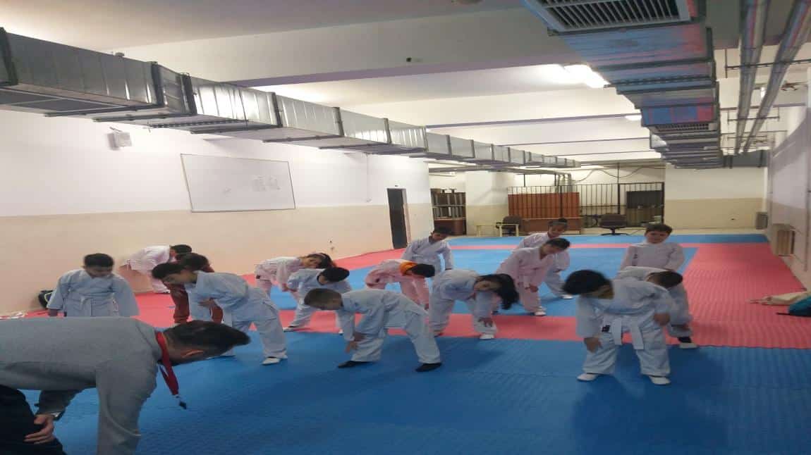 Okulumuzda Açılan Karate ve Akıl ve Zeka Oyunları Kursları 2. Dönemde Devam Etmektedir.